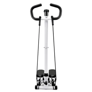 Home Fitness Stepper Workout